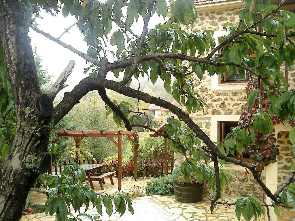 Вилла Εν Αρχή - En Arhi Ано-Трикала Номер фото