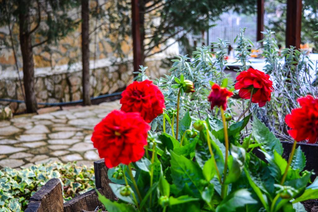 Вилла Εν Αρχή - En Arhi Ано-Трикала Экстерьер фото